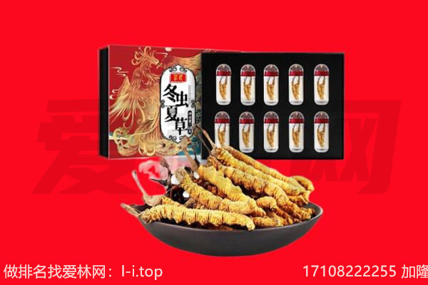 广元昭化区回收虫草.jpg